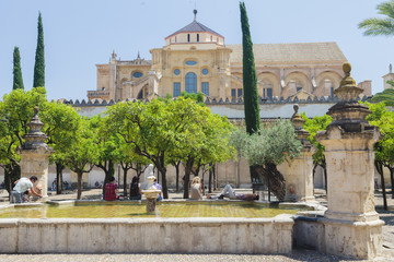 Mezquita, de ongelooflijk mooie kathedraal/moskee van Córdoba