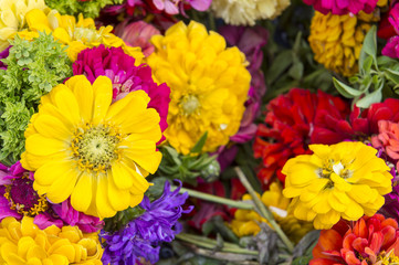 Bouquet of bright colorful flowers in a full frame close-up background
