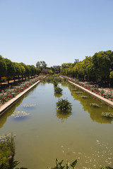 Fototapeta premium Córdoba, Alcazar de los Reyes Católicos,Córdoba, Alcazar de los Reyes Católicos, (Burcht van de Katholieke vorsten) 