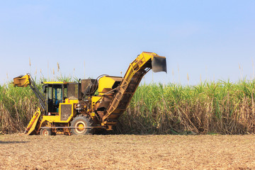 Sugarcane harvester machine 