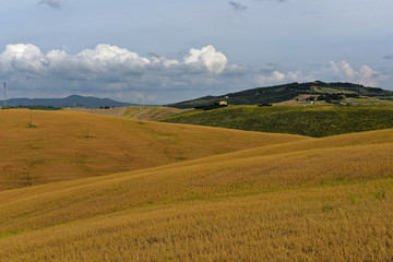 Toskana - Volterra Vorlandschaft