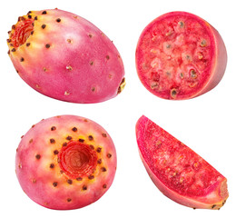 Set of opuntias isolated on white background