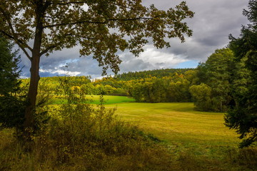 Fototapeta na wymiar Autumn forest and field