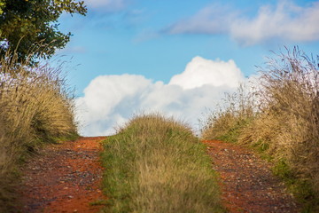 Fototapeta premium Countryside foad