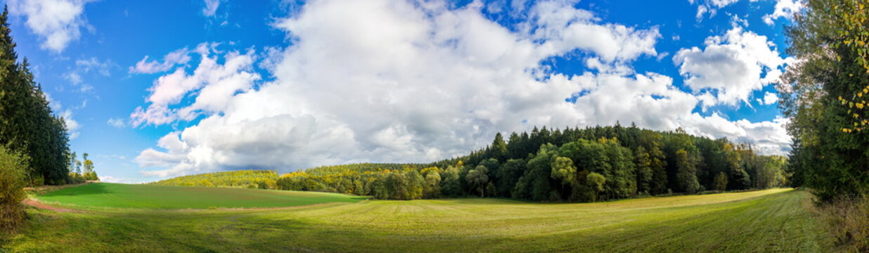 Fototapeta Autumn forest and field
