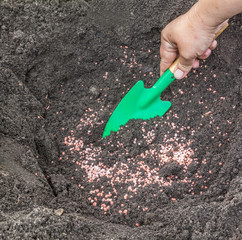 Adding fertilizer before planting