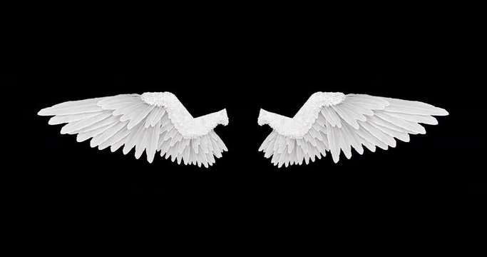 White angel wings with an alpha channel
