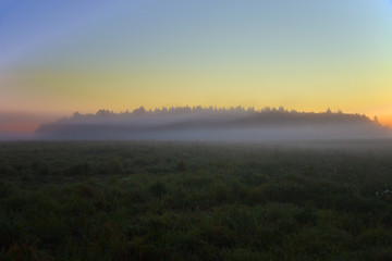 Morning mist at the edge of fields and forest