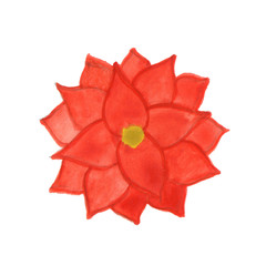 Hand drawn watercolor flower isolated on white background.