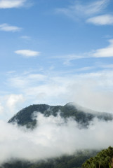 Mountain Guatemala and clouds forest.