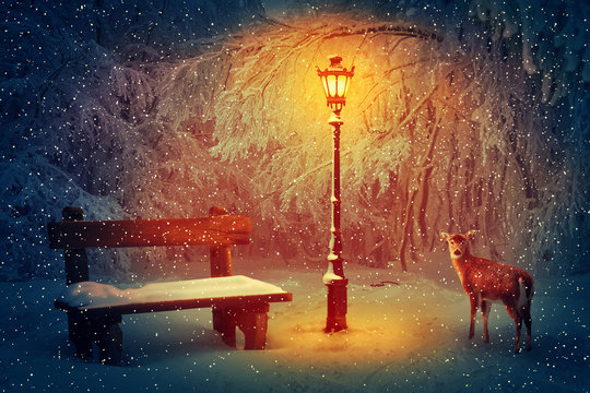 Fototapeta Wooden bench and a glowing lamp in the winter park covered in with snow. Snowing peaceful night scene and a doe looking carefully through the woods.