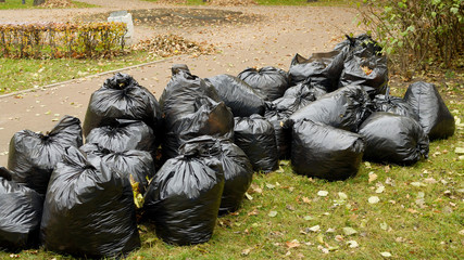 A bunch of cellophane bags