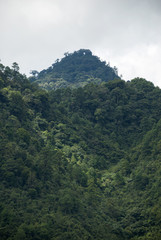 Fototapeta na wymiar Mountain Guatemala and clouds forest.