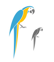 Macaw parrot. Vector illustration