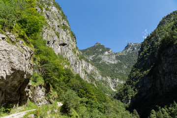 Tal Valle del Vescova; Bellunesische Nationalpark, Dolomiten, Sommer