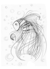 Fish imagination Applied art design