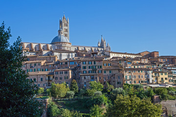 Blick auf den Dom von Siena