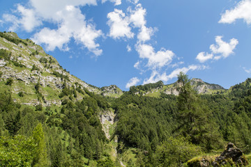 Talkessel, Beginn des Tals Valle del Vescova; Bellunesische Nationalpark, Dolomiten, Sommer
