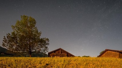 Утро на ферме