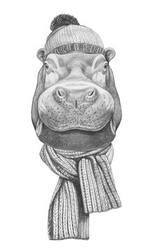 Portrait of Hippo with hat and scarf. Hand drawn illustration.