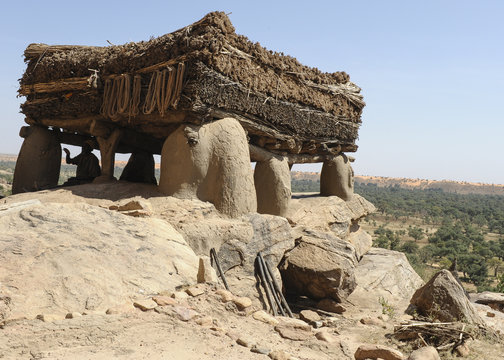 In The Dogon Country