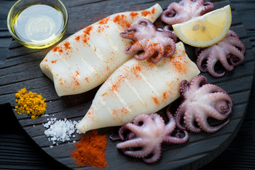 Grilled calamari, pickled baby octopuses and spices, close-up