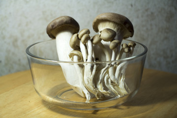 Fresh mushrooms for cooking