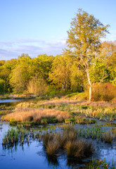 Billy Frank Jr. Nisqually National Wildlife Refuge