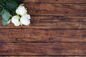 roses on a wooden background