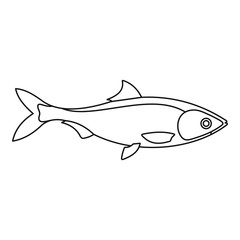Fish icon. Outline illustration of fish vector icon for web