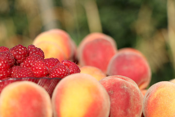 good juicy ripe fruits plate raspberries and peaches.