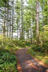 Mima Mounds Natural Area Preserve