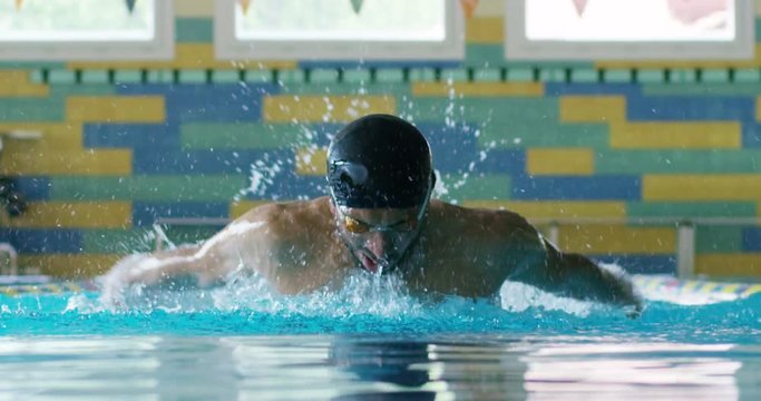 expert swimmer trains at the pool before a race, swimming keeps you fit and is one of the sports in which they train all the muscles of the body.