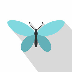 Butterfly with antennae icon. Flat illustration of butterfly with antennae vector icon for web