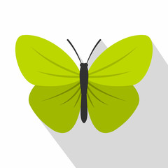 Insect butterfly with small wings icon. Flat illustration of insect butterfly with small wings vector icon for web