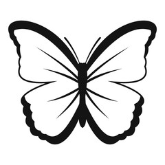 Insect butterfly icon. Simple illustration of insect butterfly vector icon for web