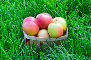 apples in a wicker basket