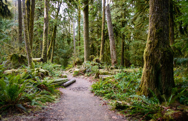 Crescent Lake, Olympic National Park