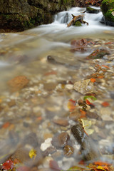 Autumn flowing mountain stream waterfall in Slovakia. Colored leafs on moss rock. Fresh natural water.