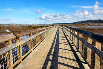 Obraz premium Billy Frank Jr. Nisqually National Wildlife Refuge