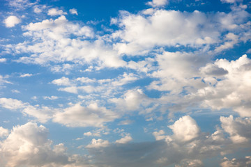 Blue sky with white clouds and flying bird
