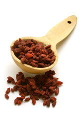 Củ khởi 구기자나무 גוג'י Goji عوسج เก๋ากี่ Cătină de garduri Boksdoorn Γκότζι Bacca Goji-marja 枸杞 Navadna kustovnica Wolfberry గోజీ  పండు