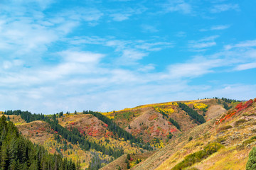 Beautiful Colorful Hills