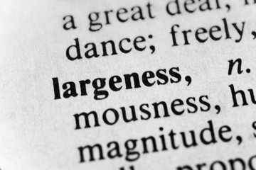Largeness