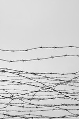 Fencing. Fence with barbed wire. Let. Jail. Thorns. Block. A prisoner. Holocaust. Concentration camp. Prisoners. Depressive background. - obrazy, fototapety, plakaty
