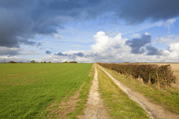 country bridleway