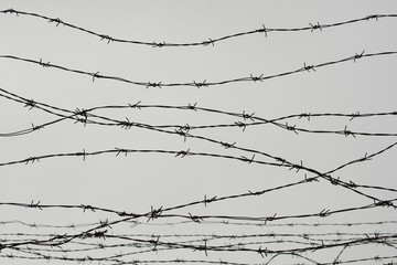 Fencing. Fence with barbed wire. Let. Jail. Thorns. Block. A prisoner. Holocaust. Concentration...