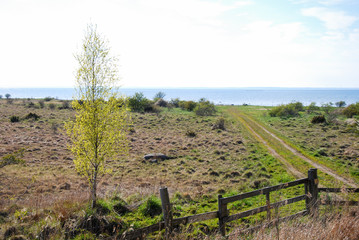 Fototapeta na wymiar Spring view by the coast