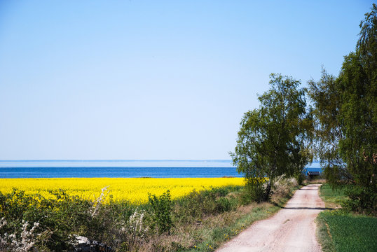 Gravel road to the coast