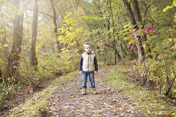Fototapeta premium boy in autumn season in a park